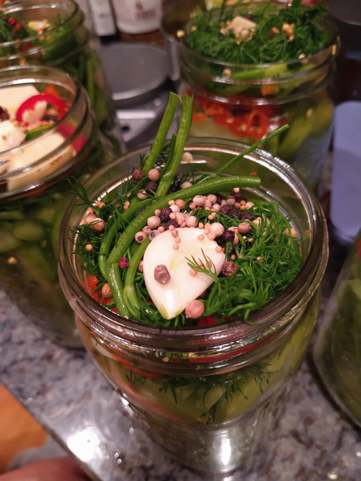 Featured Class: Fermentation with Flora and Tracy July 11th, 2026