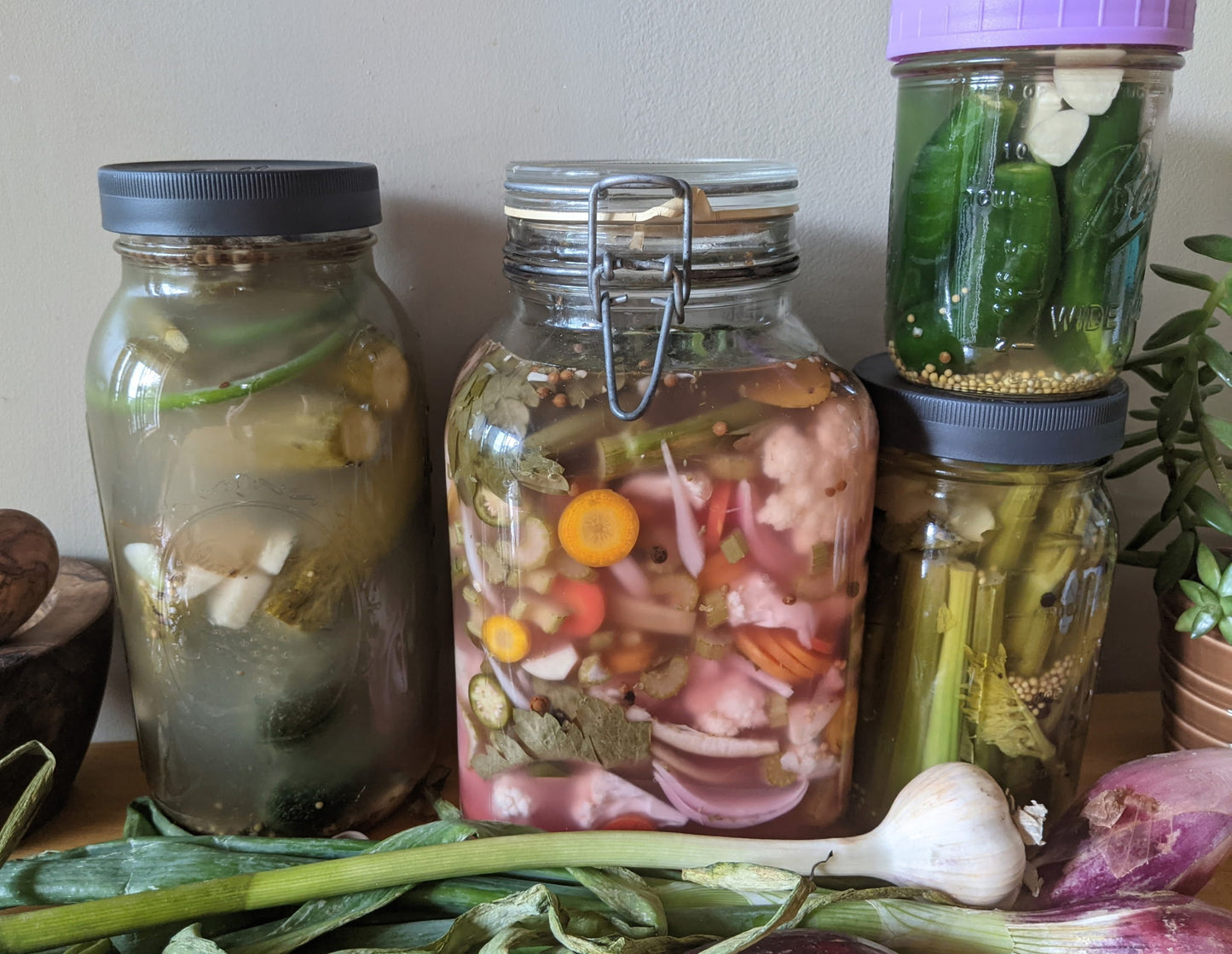 Featured Class: Fermentation with Flora and Tracy July 11th, 2026